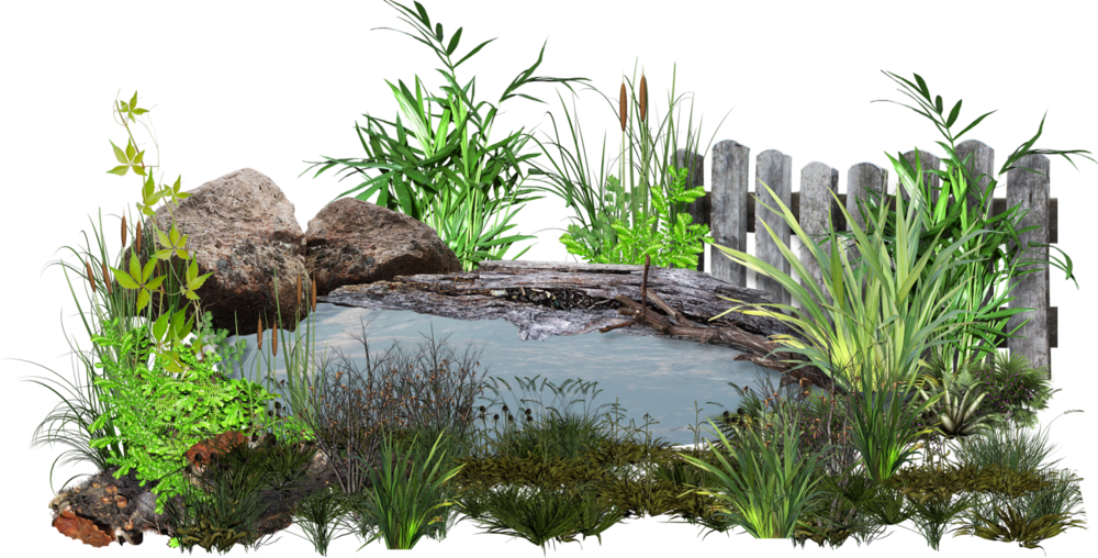 Water Pond (PSD) | Official PSDs