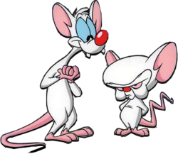 Pinky And The Brain Requested (PSD) | Official PSDs