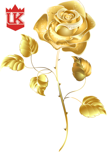 Gold Rose (PSD) | Official PSDs